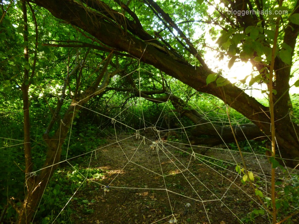 Spider Web Obstacle 2