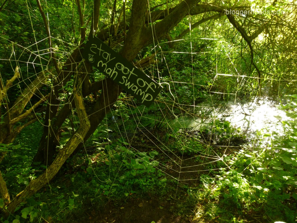Shrek's Swamp - Spider Web Obstacle